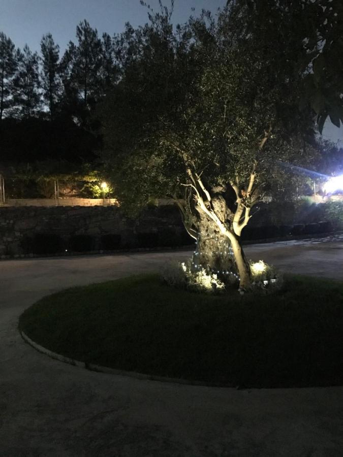 Koilani Agia Mavri Houseヴィラ エクステリア 写真